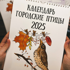 Календарь Птицы 2025