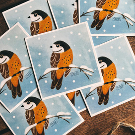 Открытка Австралийская малиновка