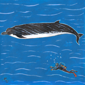 В детский журнал "А почему?" Рубрика" Со всего света". Опубликовано в журнале. Иллюстрация на уменьшение при печати. Тема: Открыт новый вид китообразных. Художник: Марат Брызгалов.