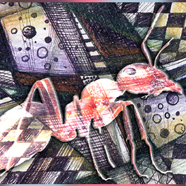 Муравьиное зазеркалье