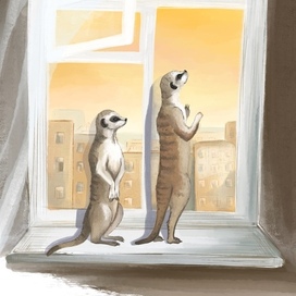 Любопытство