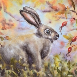 Зайка трусишка