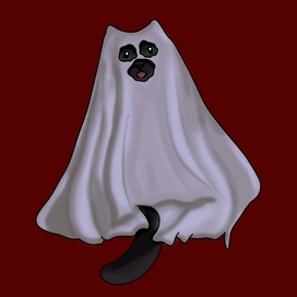 Кото-призрак