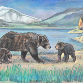 Медведи. Иллюстрация для детского познавательного журнала-"А почему?" Редакция "Юный Техник". Рубрика: "Про братьев наших меньших". Жанр. Анималистика . Художник Марат Брызгалов.