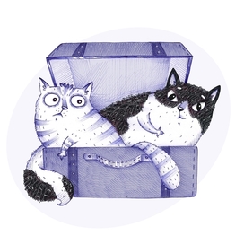 Коты в чемодане 