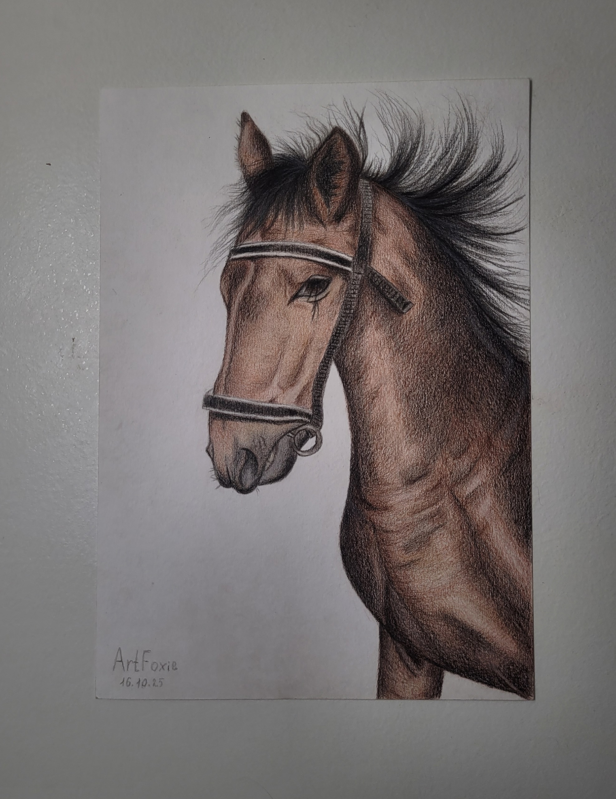 Конь "Браун"