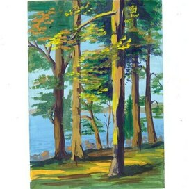 Солнечный лес