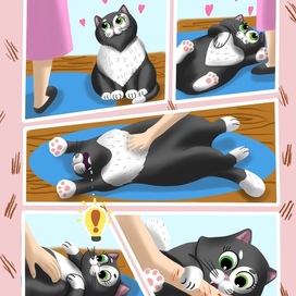 Ох уж эти котики