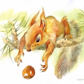 Белка Сирле