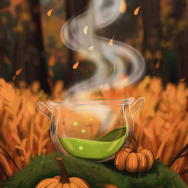 Ведьмин котёл