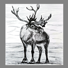 Инктобер 25 Deer