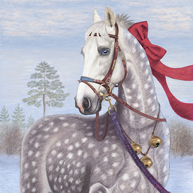 Серый в яблоках Камыш, Декабрь