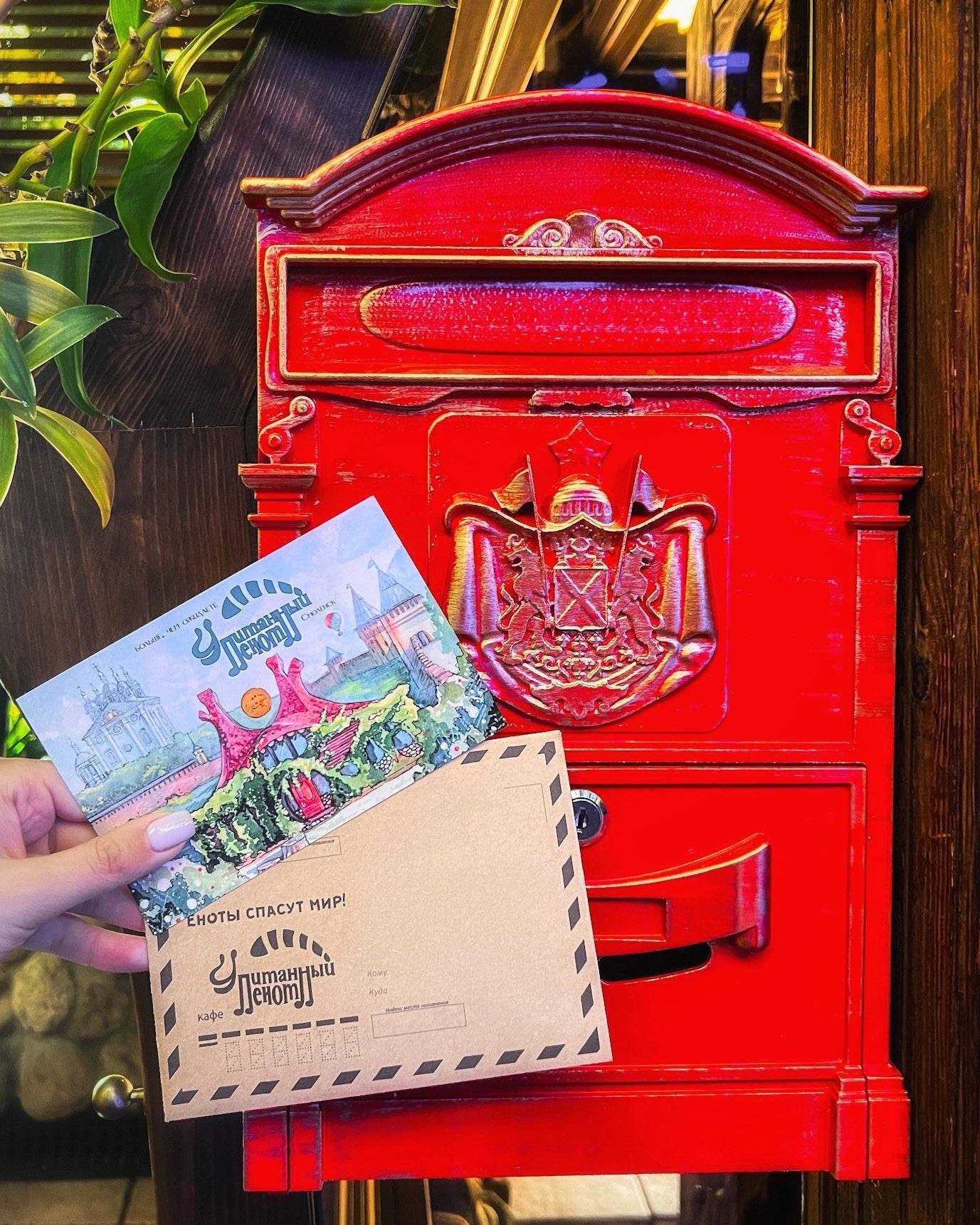 Иллюстрация для кафе "Упитанный енот"