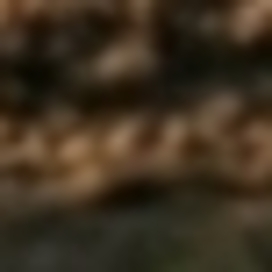 Дюймовочка с утенком