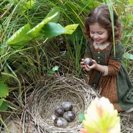 Дюймовочка birdcher