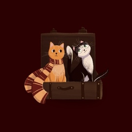 Коты в чемодане