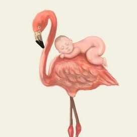 Фламинго и малыш