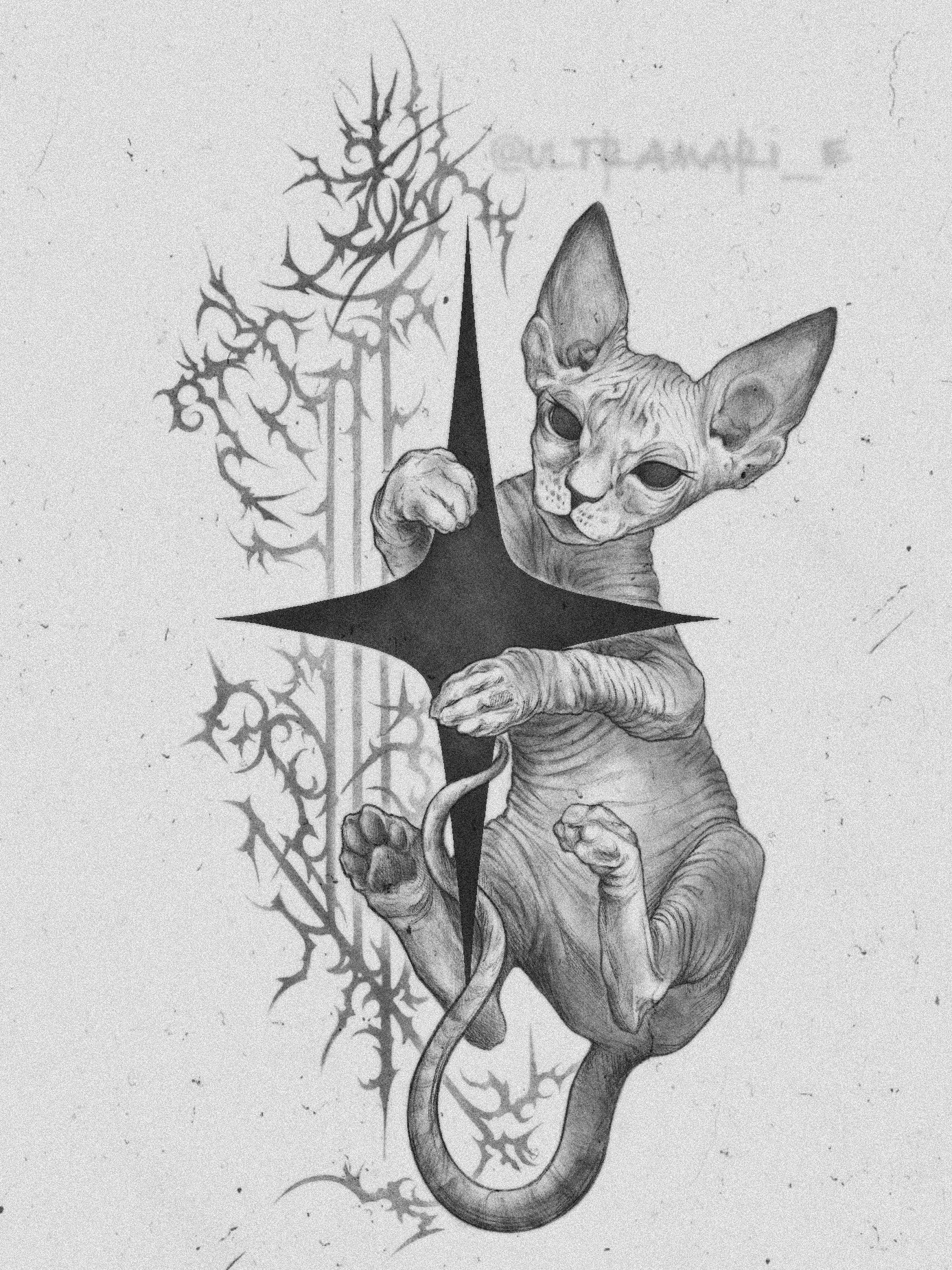 Сфинкс со звёздочкой