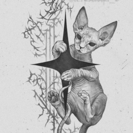 Сфинкс со звёздочкой