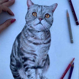 Портрет Кота, А3