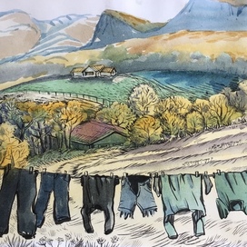 обычный вид