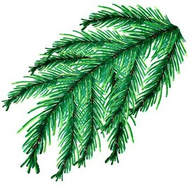 Еловая ветвь маркерами