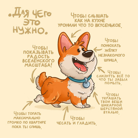 Инструкция к корги