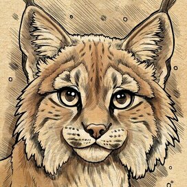 Иллюстрация для книги