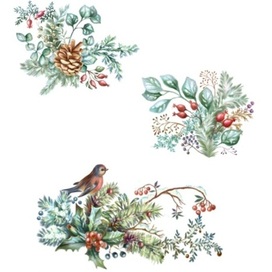 Зимние ветки