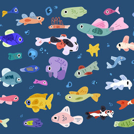 Colorful Fish Collection