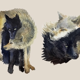 Волчары дружбаны