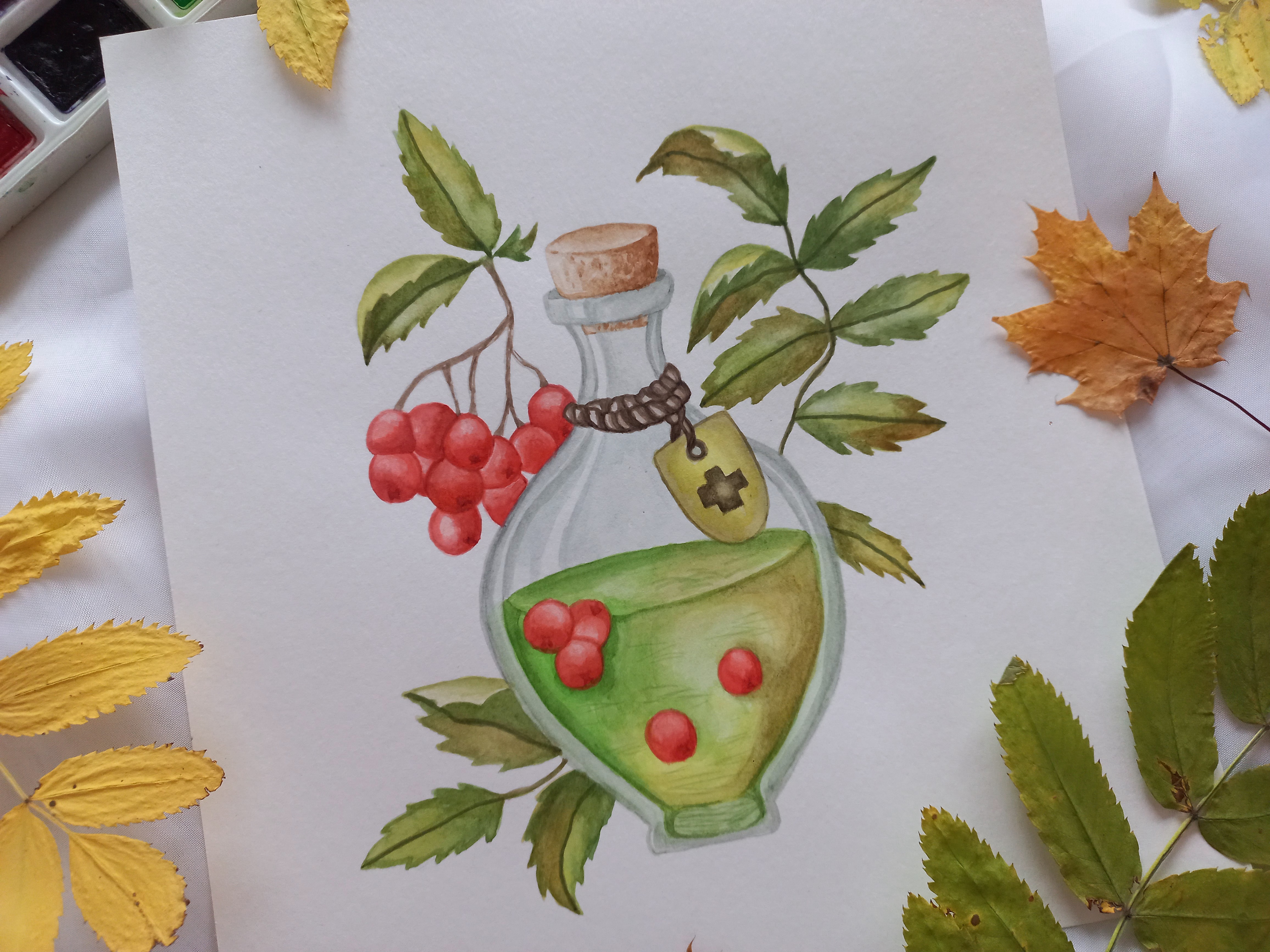 Рябиновый отвар✨️