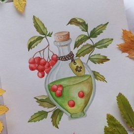 Рябиновый отвар✨️