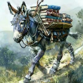 ослик несущий книги 