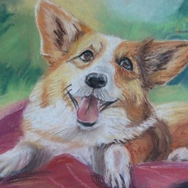 щенок Корги