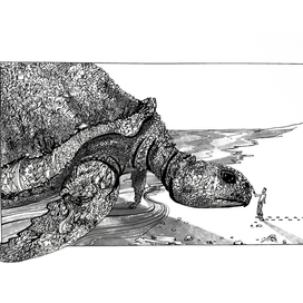 Черепаха - воплощение природы