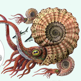 Кодацерас. Эскиз жетона для Московского Монетного Двора.