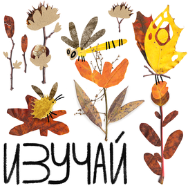 Заставка для программы ЧитайФеста "Изучай"