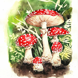 Семейка мухоморов