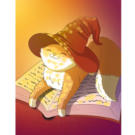 Кот на книге