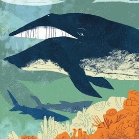 Иллюстрация в книгу "Зубы? Зубы... Зубы!"