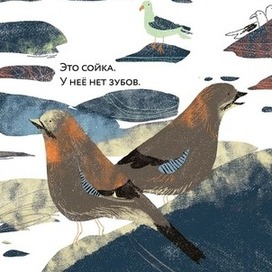 Иллюстрация в книгу "Зубы? Зубы... Зубы!"