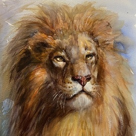 Портрет льва акварелью