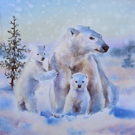 Семья мишек 