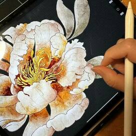 пион в процессе