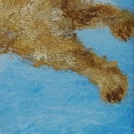 полет собаки