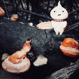 ещё один барабашка