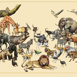 Звери Африки