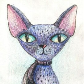 Кошечка сфинкс