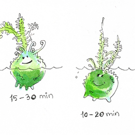 Персонажи для ботанического блога